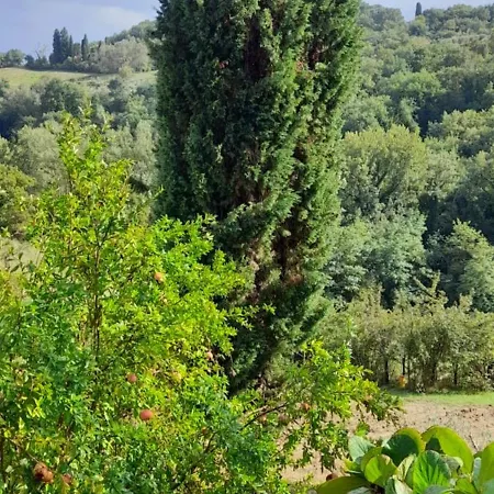 Frattina1860 * Montisi